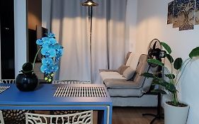 Blue Da Mantiqueira - Staffy House Extrema